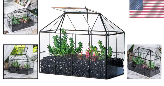 9.84 x 5.31 x 7.87 Black Glass Terrarium - Perfect for Indoor Cacti & Succulents