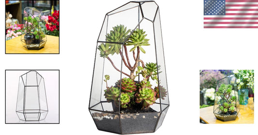 Eco-Friendly Large 16-Inch Terrarium - Irregular Shape for Unique Plant Displays