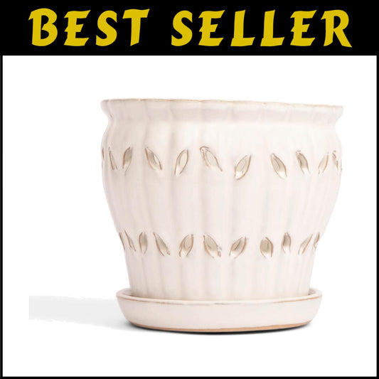 Modern 6-Inch Round Orchid Pot with Floral Pattern & Surface Protectors