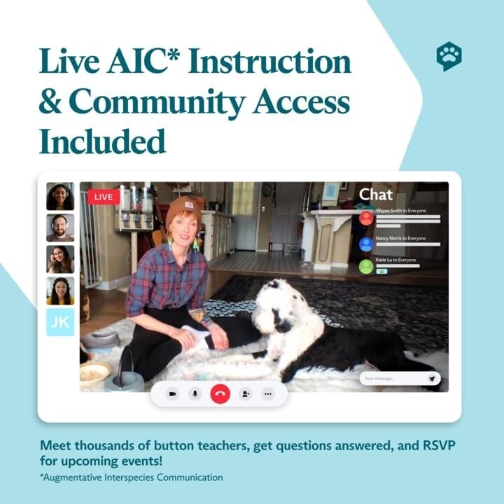 Communicate with Your Pets: 6 Recordable Talking Buttons with HexTile Mats