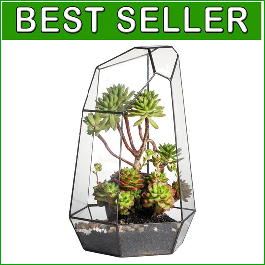 Eco-Friendly Large 16-Inch Terrarium - Irregular Shape for Unique Plant Displays