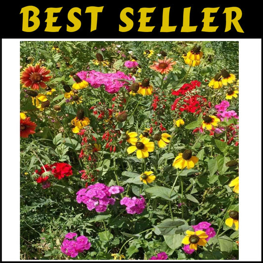 5 lbs Heirloom Wildflower Seed Mix for Southeastern Landscapes - Eco-Friendly