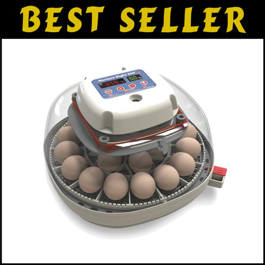 Compact Nurture Right Egg Incubator - 360 Visibility, Perfect for All Poultry