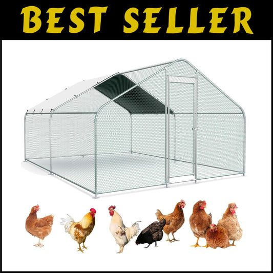 Versatile 10x13 FT Chicken & Rabbit Run with Galvanized Structure for Outdoors