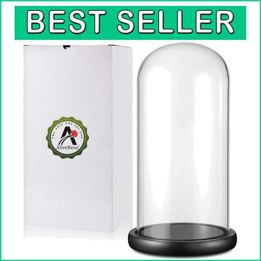 13" x 6" Hand-Blown Glass Cloche Dome for Showcasing Gold Roses & Collectibles