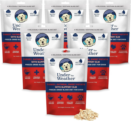 Natural Stomach Support Dog Food | Freeze-Dried Turkey, Sweet Potato, 6 Pack