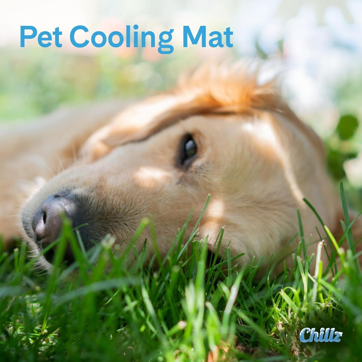 Chillz Pressure-Activated Cooling Pad for Large Pets - Lightweight & Easy Care