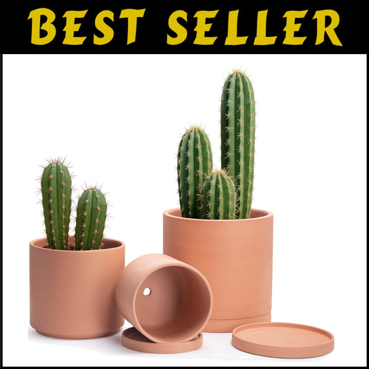 Elegant Set of 3 Terracotta Pots with Drainage and Saucers for Indoor Plants