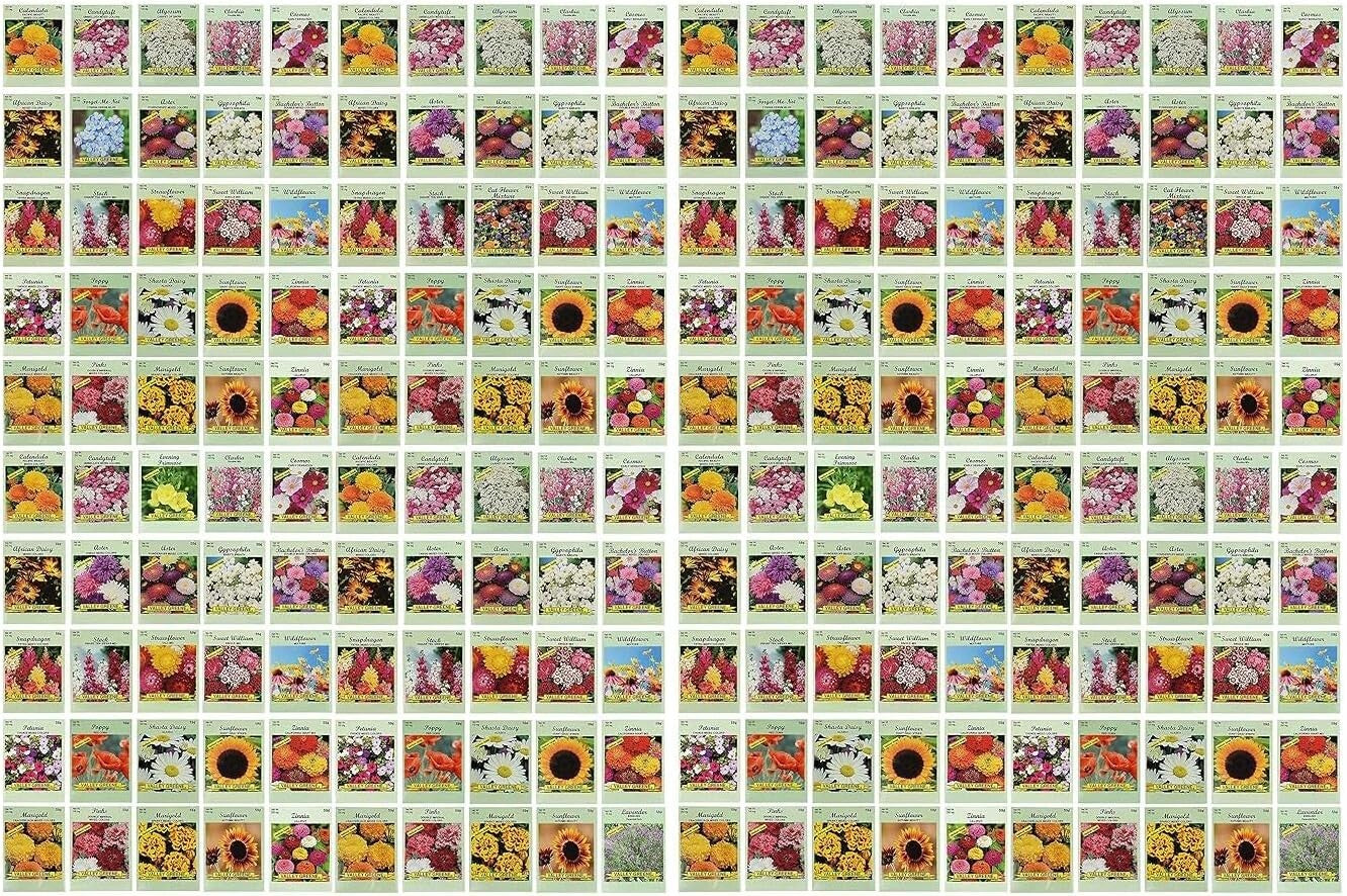 Create a Stunning Garden with 200 Assorted Flower Seed Packets – Easy Growing