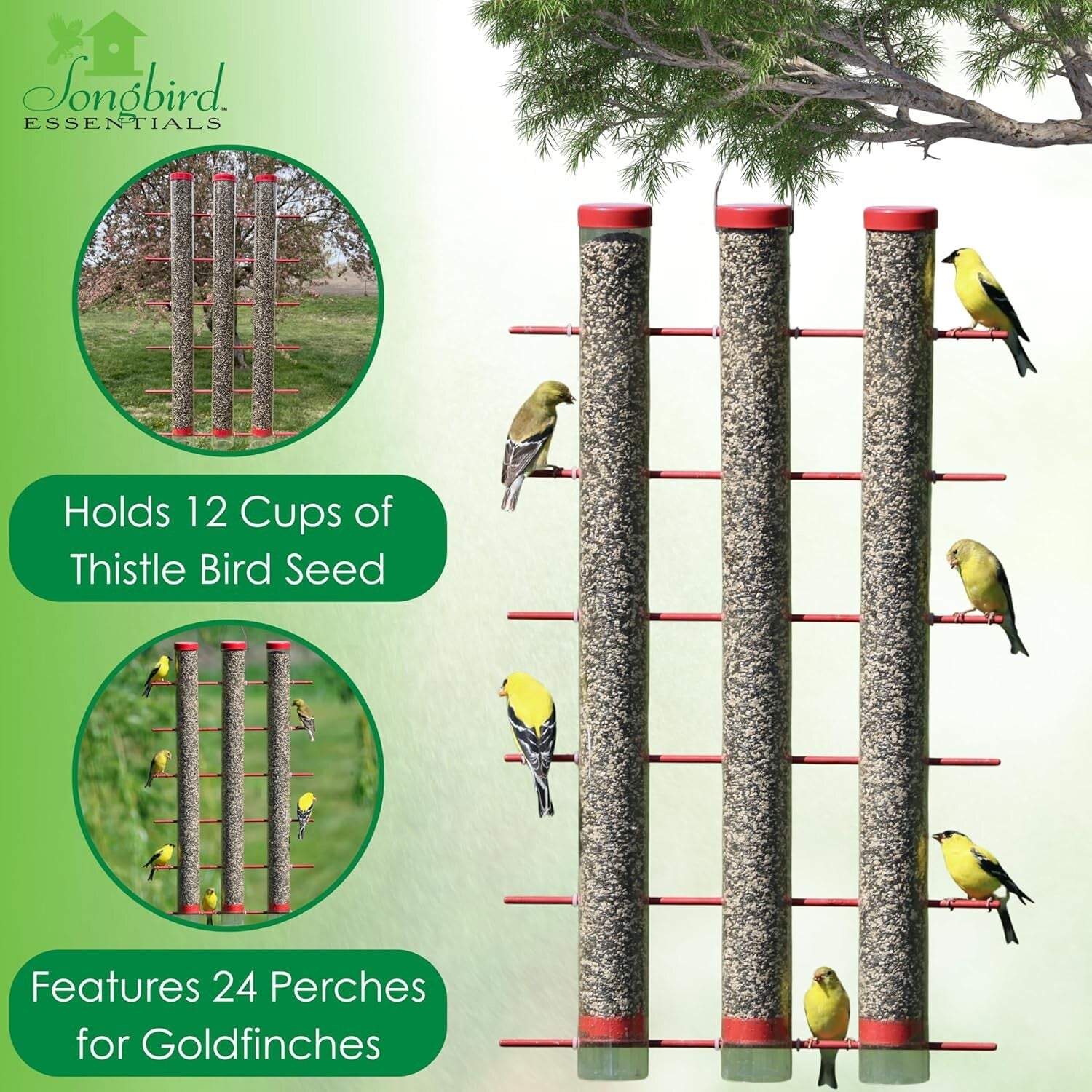 Large Capacity Finch Feeder – 3 Pounds of Seeds with 24 Perches for Goldfinches