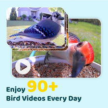 Load image into Gallery viewer, Smart Outdoor Bird Feeder Camera - Capture &amp; Share Your Backyard Birding Moments