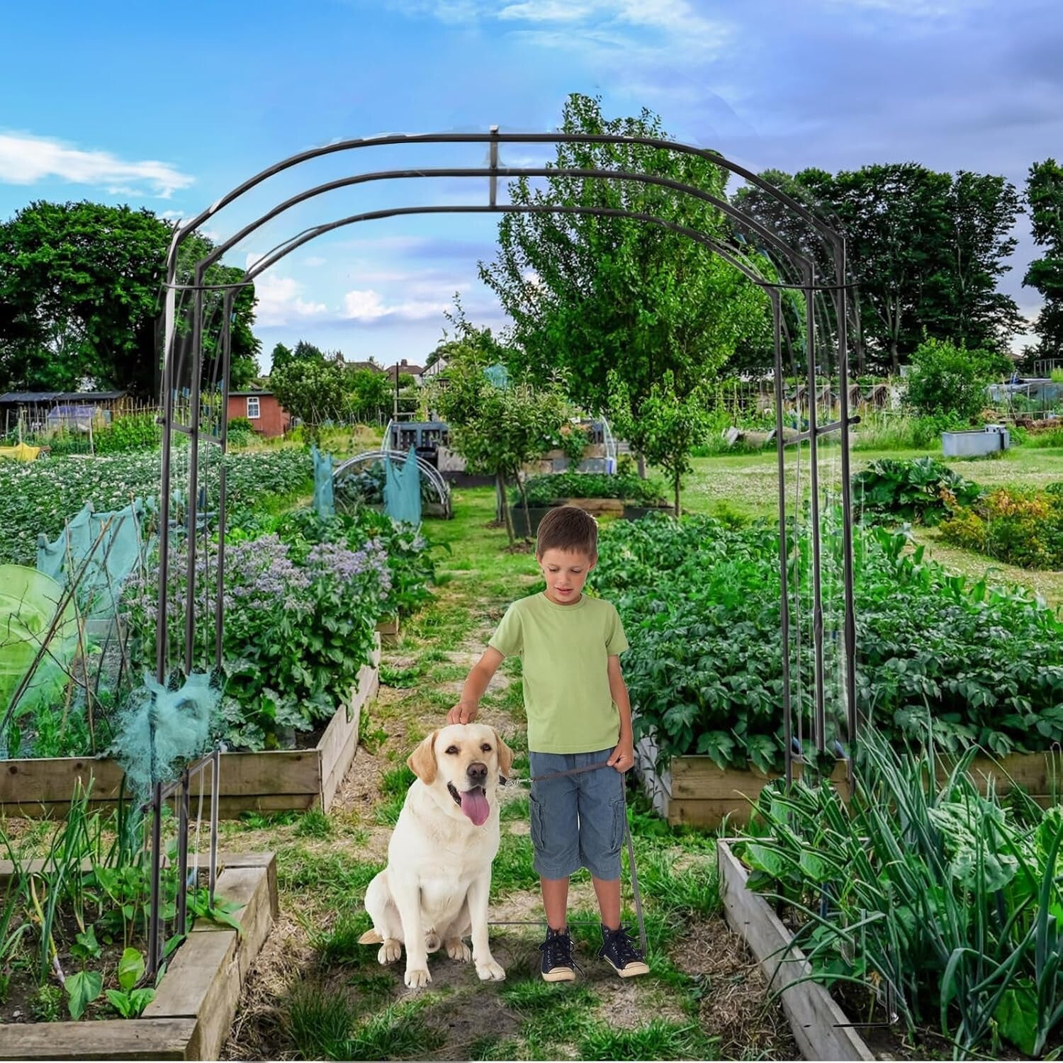 Classic 87-Inch Tall Metal Garden Arch Trellis for Climbing Plants Support