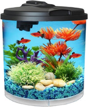 Load image into Gallery viewer, Compact 2-Gallon LED Fish Tank with Power Filter - Ideal for Betta &amp; Guppies