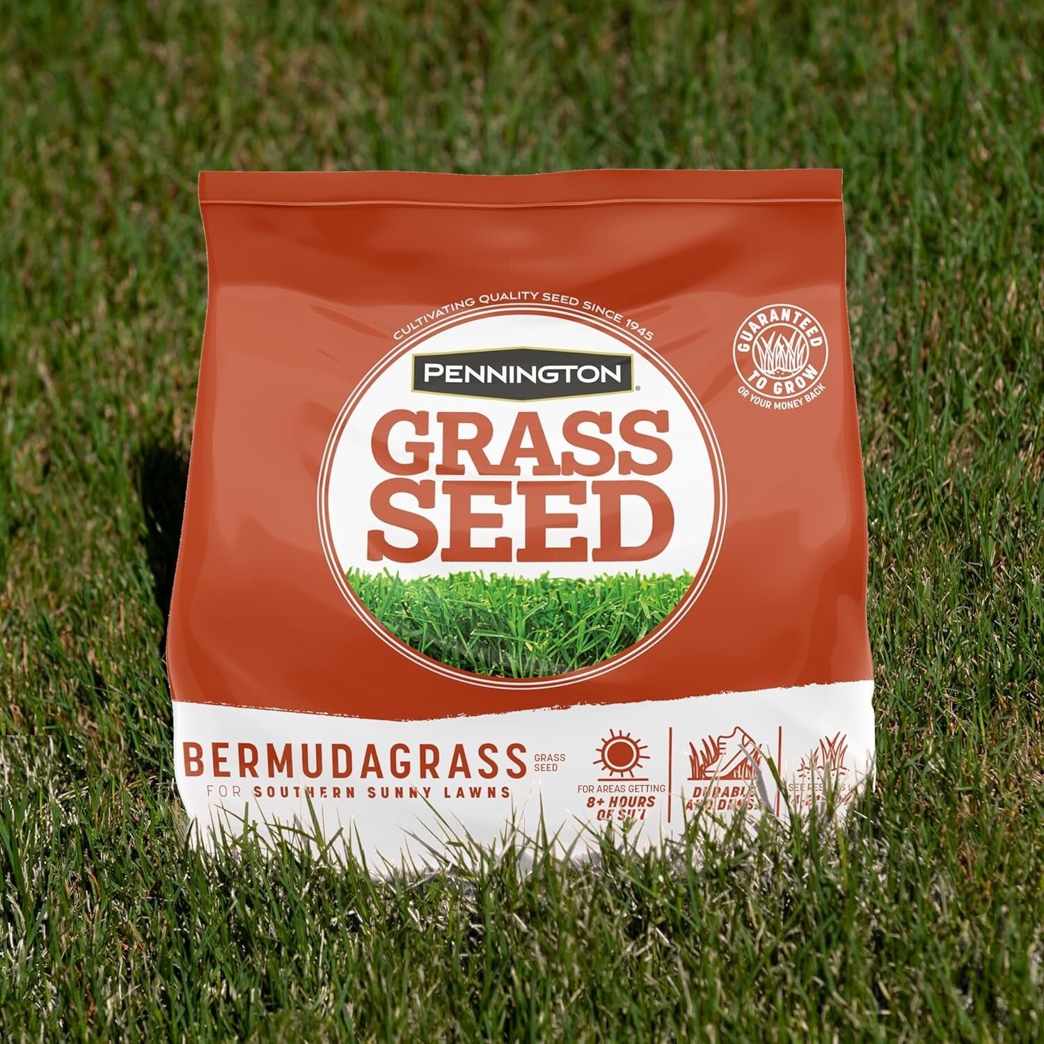 15 lb Premium Bermudagrass Grass Seed - Thrives in Full Sun & Low Mowing Needs