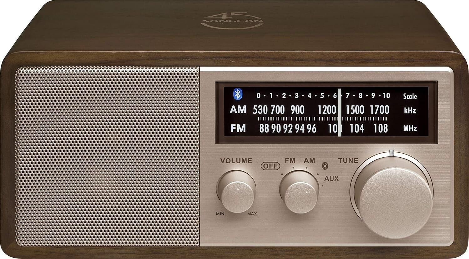 Compact Bluetooth and AM/FM Radio with Rose Gold Details - 45th Anniversary