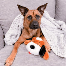 Load image into Gallery viewer, Machine Washable Snuggle Puppy - Heartbeat Toy for Behavioral Training &amp; Comfort