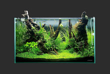 Load image into Gallery viewer, Quality 55 Gallon Aquarium Tank with Rimless Design - Black Nano Foam Included