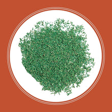 Load image into Gallery viewer, Premium 15 lb Bermudagrass Grass Seed with Penkoted Technology - Thrives in Sun