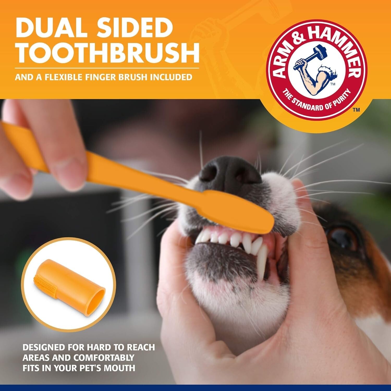 3-Piece Dog Dental Care Set with Beef Toothpaste for Fresh Breath & Healthy Gums