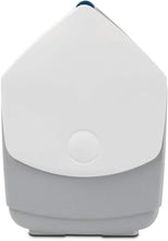 Load image into Gallery viewer, Eco-Friendly 15L Classic Playmate Cooler - Perfect for Camping Adventures