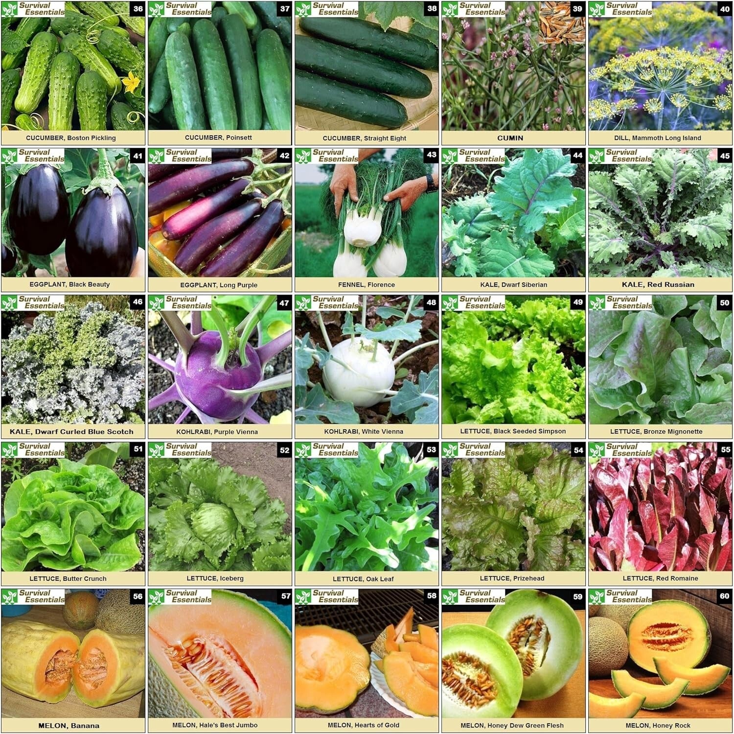Diverse Heirloom Seed Collection - 135 Varieties for Organic Gardening Joy