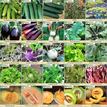 Load image into Gallery viewer, Diverse Heirloom Seed Collection - 135 Varieties for Organic Gardening Joy