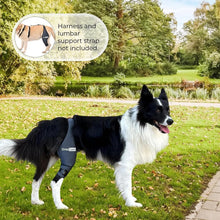 Load image into Gallery viewer, Veterinary-Quality Left Leg Dog Brace for ACL &amp; Patella Support - Mini Size
