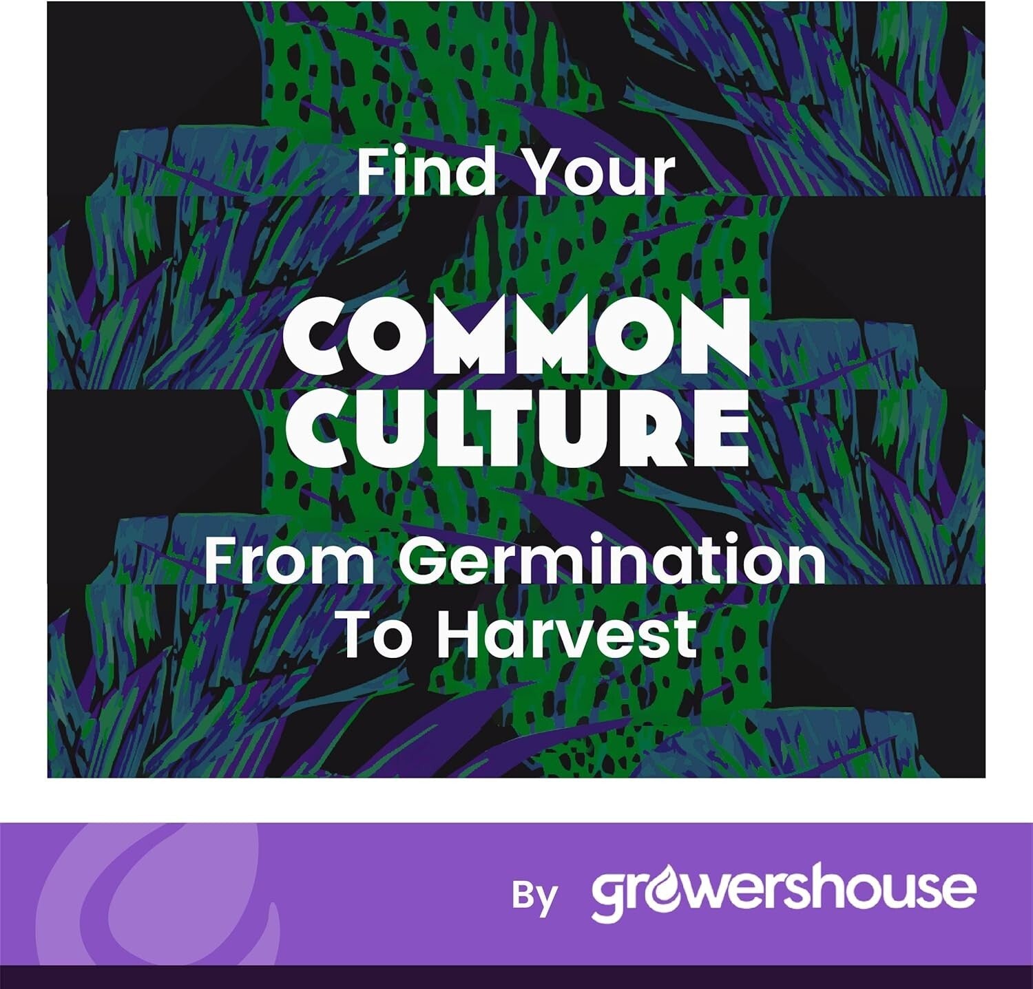 Economical Trellis Netting Roll, 6" Mesh - 6.5ft x 4920ft for Efficient Growth