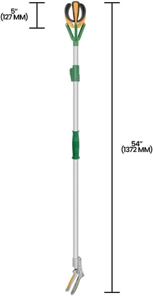 Long Reach Telescopic Fruit Picker - 6-Foot Extension for Effortless Harvesting