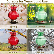 Load image into Gallery viewer, Durable 23oz Outdoor Hanging Hummingbird Feeder - Leak-Proof &amp; Rustproof, 2-Pack