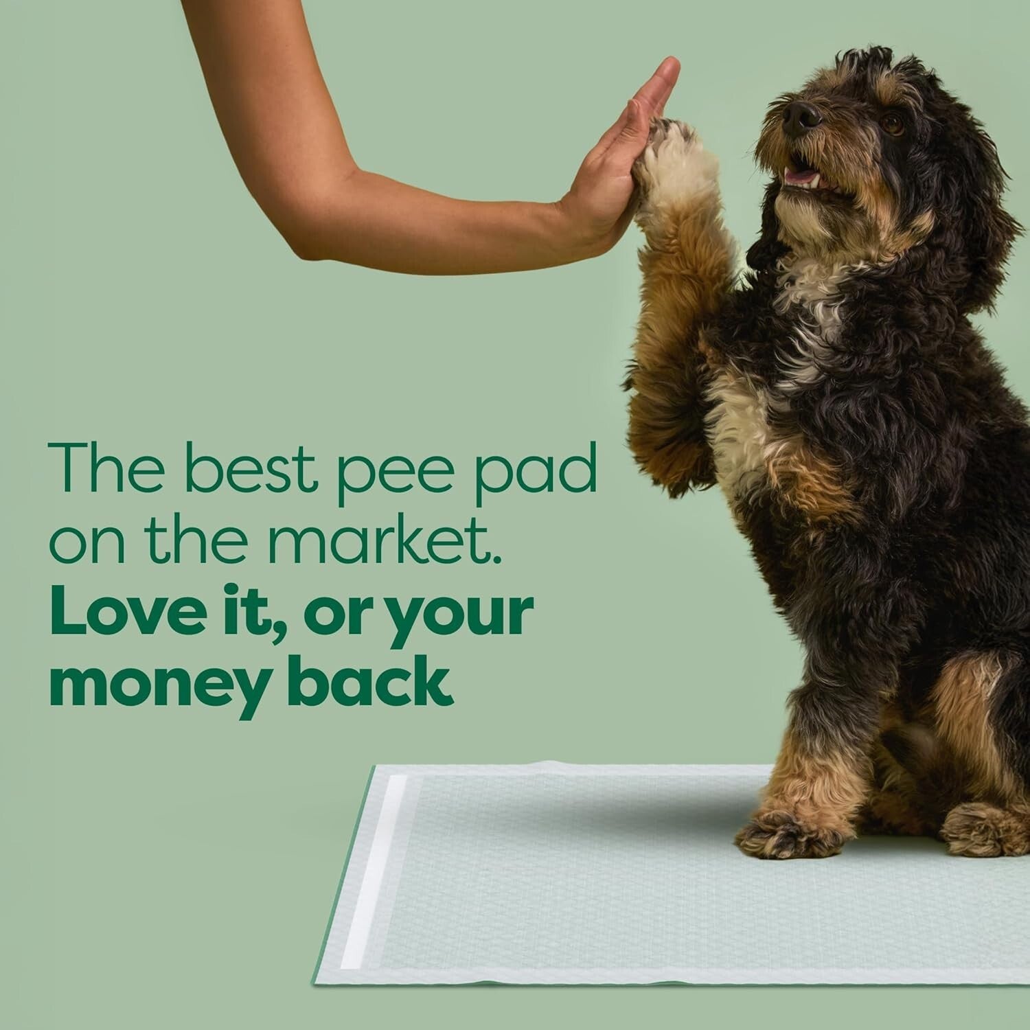 Odor-Blocking 3-in-1 Puppy Training Pads - Leak Proof & Fast Absorbency - 28x34