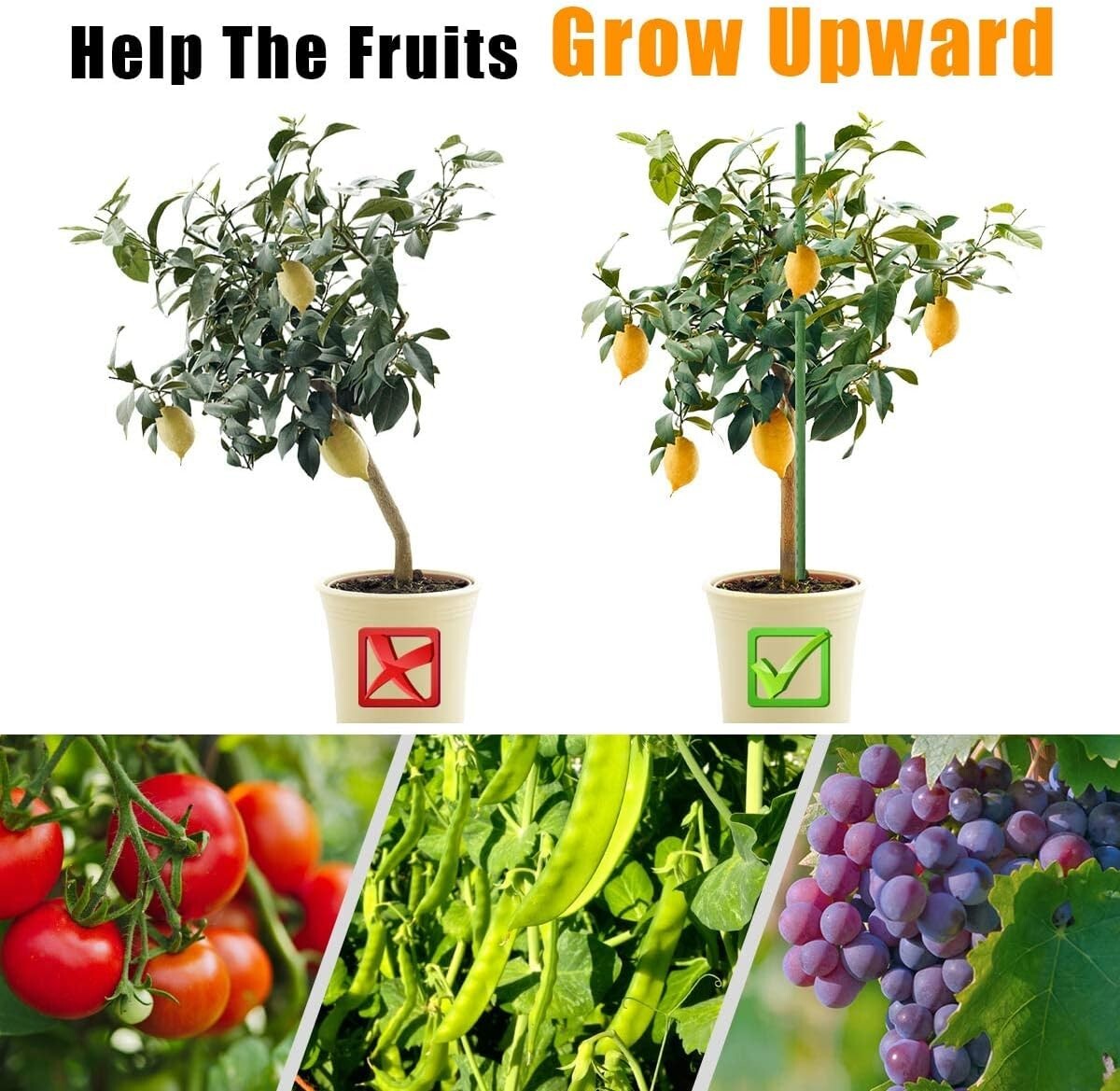 48-Inch Heavy Duty Steel Garden Stakes - Pack of 40 for Strong Plant Support