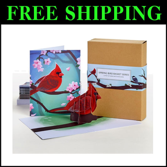 Celebrate Spring with 12 Assorted 3D Pop-Up Bird Cards & Envelopes Included