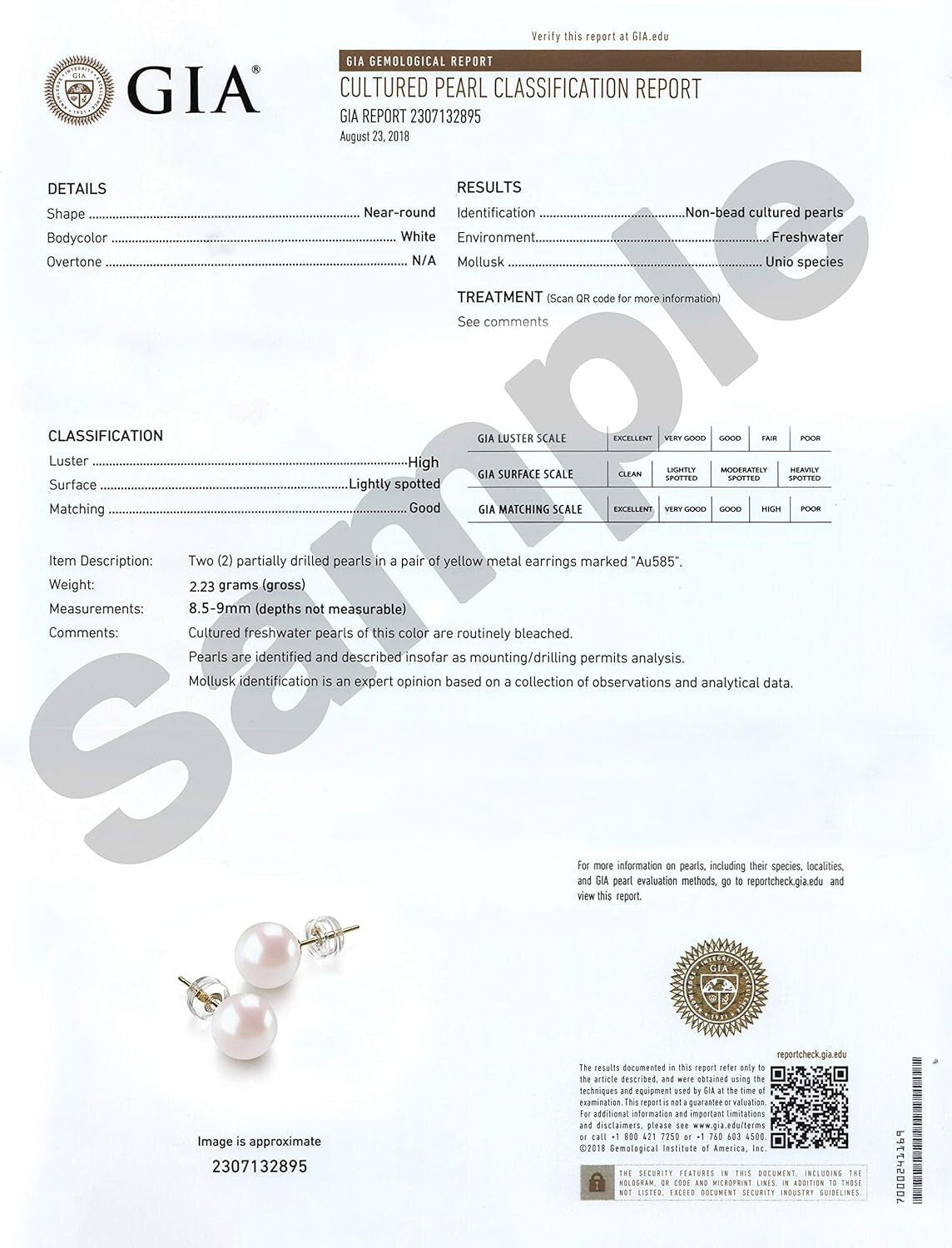 Beautiful 14K Gold Pearl Stud Earrings - Top Quality 8.5-9mm for Women's Style