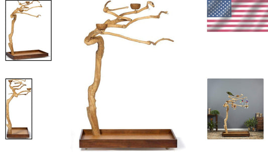 Medium Coffeewood Tree Playstand - Ideal for Cockatiels, Quakers, and Conures