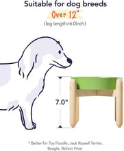 Load image into Gallery viewer, Elevated Ceramic Dog Bowls - Non-Slip Clover Green Dishes for Healthy Feeding