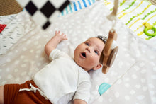 Load image into Gallery viewer, Award-Winning Montessori Activity Gym with Organic Cotton Teething Toys - 0+