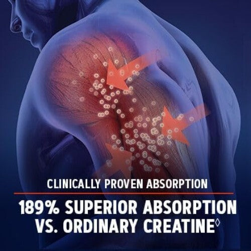 AMP Creatine HCl 189 Pills - Clinically Proven Muscle Builder & Performance
