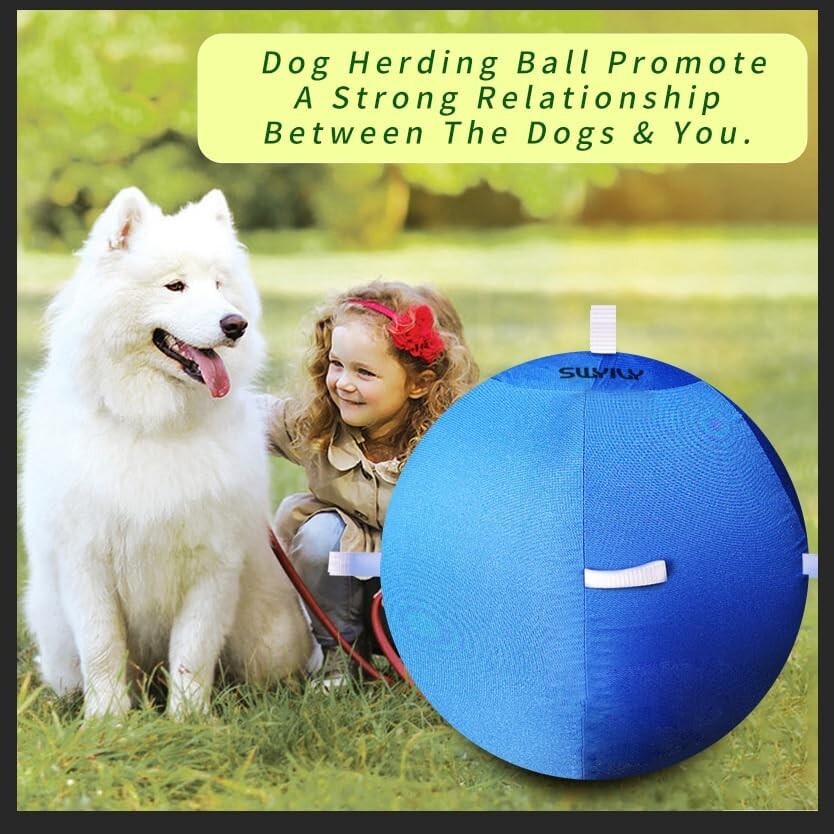 Durable Anti-Burst 25" Dog & Horse Soccer Ball with Safety Cover in Blue