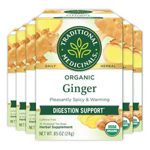 Load image into Gallery viewer, Organic Ginger Tea for Healthy Digestion - 96 Bags in 6 Eco-Friendly Packs