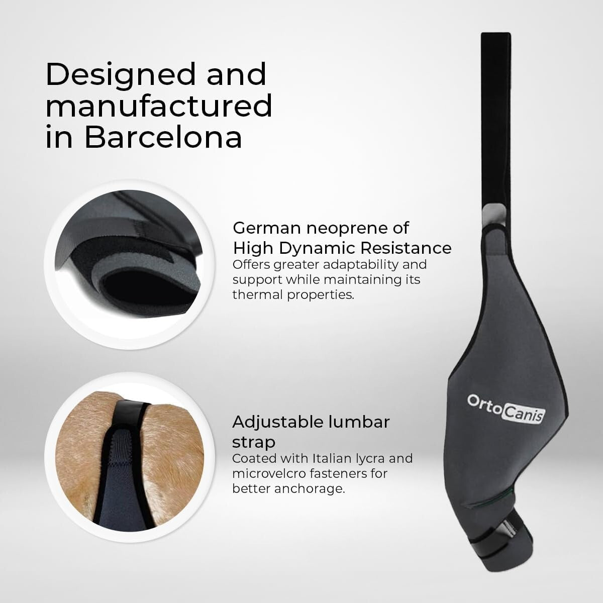 Veterinary-Quality Left Leg Dog Brace for ACL & Patella Support - Mini Size