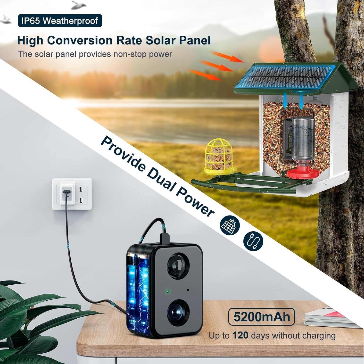 1080P HD Bird Feeder Camera with Solar Power and Real-Time App Notifications