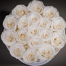 Load image into Gallery viewer, Timeless 17 Luxury Roses Gift in White Velvet Box - Perfect for Any Occasion