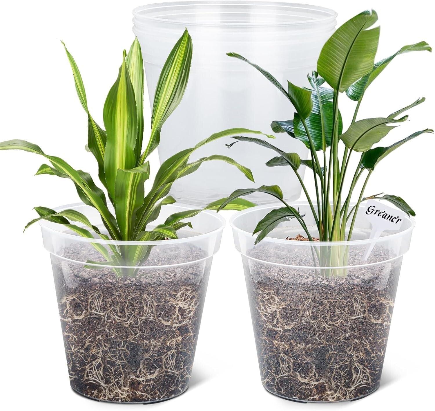 5-Pack Durable Clear Plastic Planters - 12-Inch with Drainage for Plant Growth