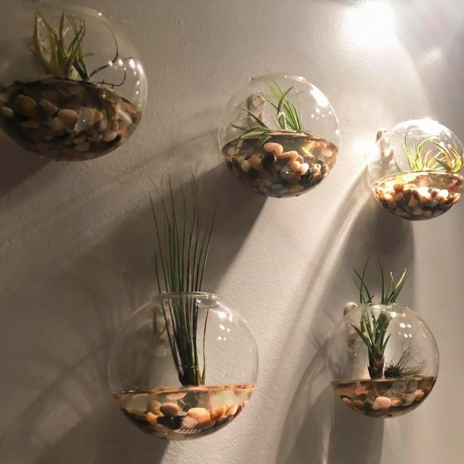 Natural 30 lb Polished Pebbles - Ideal for Drainage and Aesthetic in Any Garden