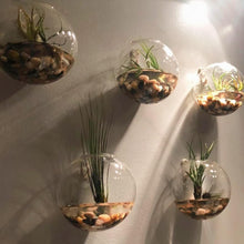 Load image into Gallery viewer, Natural 30 lb Polished Pebbles - Ideal for Drainage and Aesthetic in Any Garden