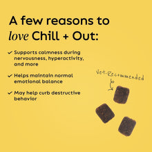 Load image into Gallery viewer, Chill + Out 30 Soft Chews – Natural Calming Treats for Pets' Emotional Balance
