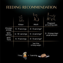 Load image into Gallery viewer, Sustainable Cat Food: Perfect Portions Cuts in Gravy Variety Pack for Adults