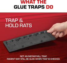 Load image into Gallery viewer, Pesticide-Free Glue Traps with Eugenol - 12-Pack for Effective Pest Control