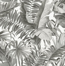 Load image into Gallery viewer, Repositionable Tropical Peel &amp; Stick Wallpaper - 30.75 sq ft Black &amp; White